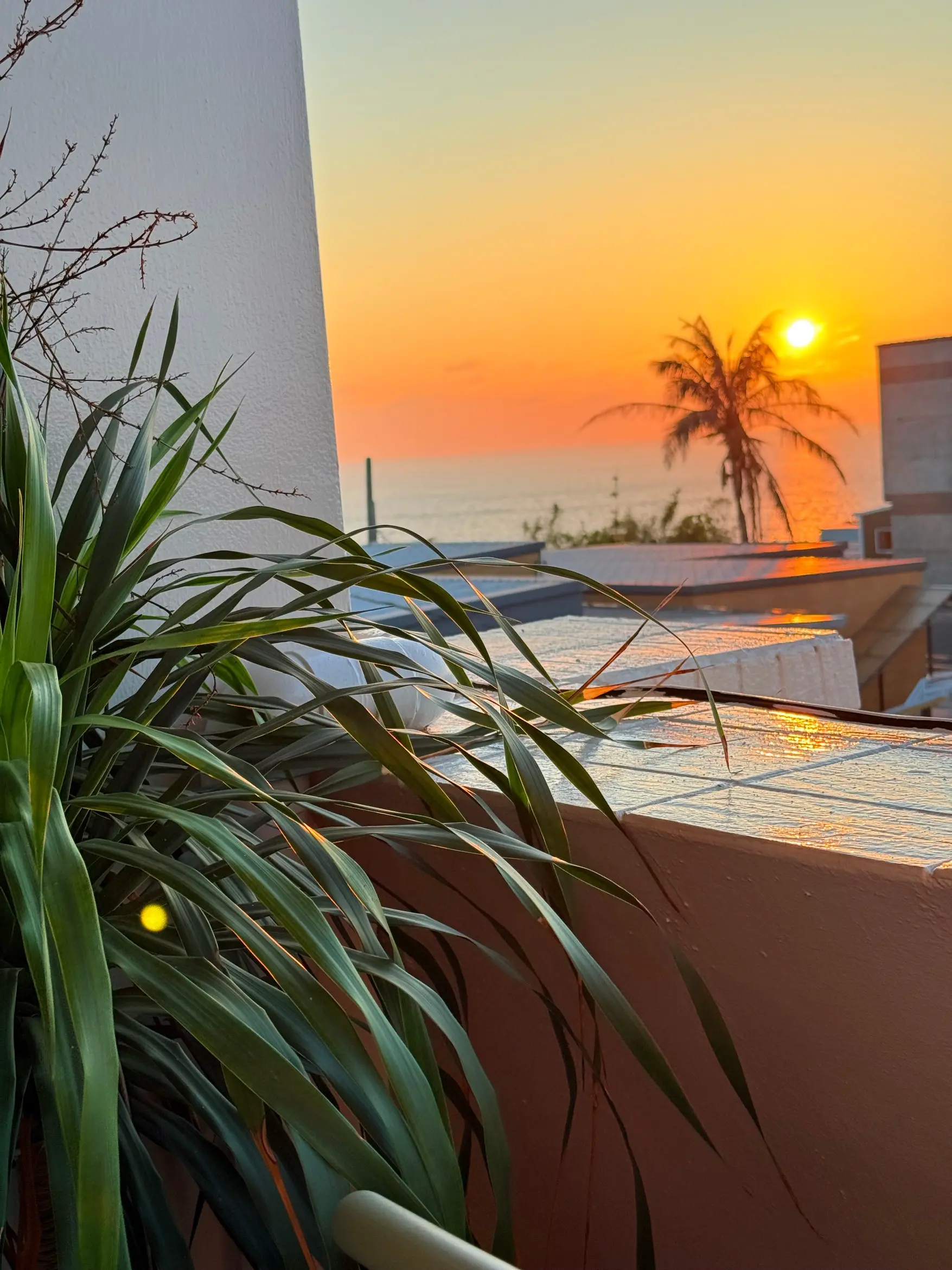 8-16人包棟(大於8人請點選加人加價）